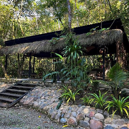Kuyana Amazon Lodge Archidona Eksteriør billede