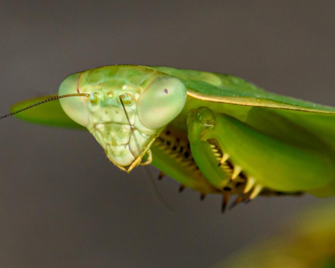 Kuyana Amazon Lodge Archidona Eksteriør billede
