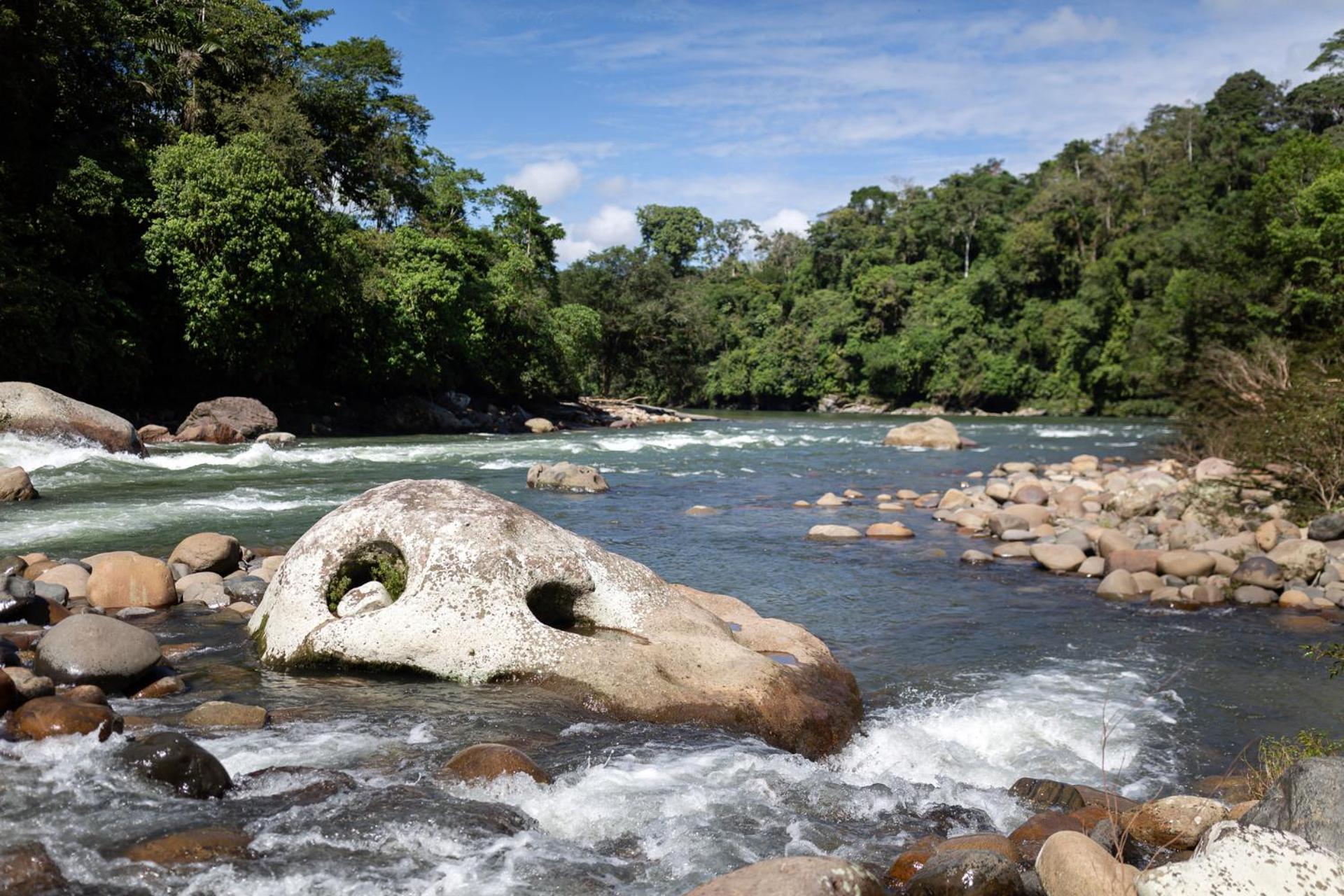 Kuyana Amazon Lodge Archidona Eksteriør billede